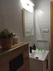 a bathroom with a sink and a mirror at Mini house - apartament, domek do wynajęcia in Solec-Zdrój +22 photos