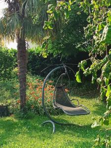 um balanço na relva ao lado de uma palmeira em appartamento immerso nel verde tra laghi e colline em Anzano del Parco