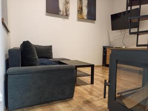 a living room with a couch and a fireplace at Mini house - apartament, domek do wynajęcia in Solec-Zdrój
