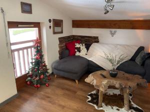 Chalet le Daim appartement 6 pers Vue Mont-Blanc的休息区