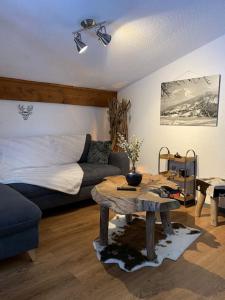 Chalet le Daim appartement 6 pers Vue Mont-Blanc的休息区