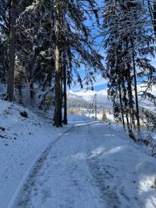冬天的Chalet le Daim appartement 6 pers Vue Mont-Blanc
