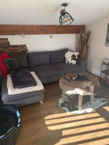 Chalet le Daim appartement 6 pers Vue Mont-Blanc的休息区
