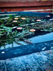 um reflexo de plantas numa piscina de água em Guest House Pid Dubom Карпати Під Дубом em Skole