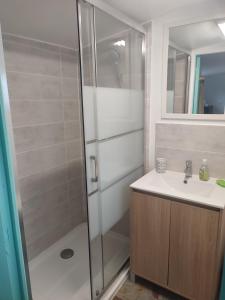 bagno con doccia e lavandino di Gîte insolite La Renouée a Saumur