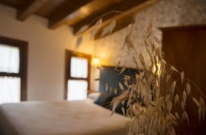 Fotografie z fotogalerie ubytování El Lagar del Vero v destinaci Huerta de Vero