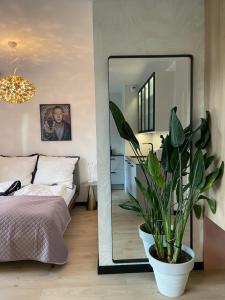 a bedroom with a large mirror and a potted plant at PIPER Gold TARGI in Poznań