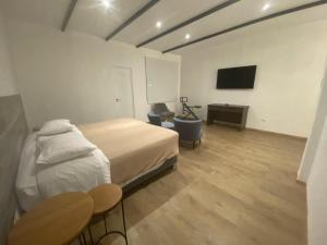 een slaapkamer met een bed, een bureau en een televisie bij Basadre Apart Hotel in Tacna