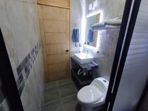 a small bathroom with a toilet and a sink at Suite Departamento Nuevo in Aguascalientes +6 photos