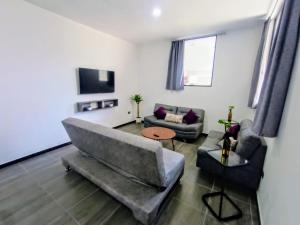 ein Wohnzimmer mit 2 Sofas und einem TV in der Unterkunft Suite Departamento Nuevo in Aguascalientes