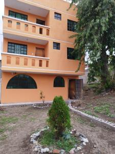 un edificio naranja con un árbol delante de él en 3 Cuarto independiente individual Ambato en Ambato
