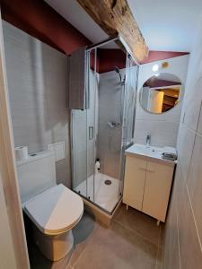 een badkamer met een douche, een toilet en een wastafel bij Chez Alam à L'opéra de Lyon in Lyon