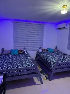 2 Betten in einem Zimmer mit lila Leuchten in der Unterkunft private apartmento airport 7 minutes y de la playa in Carolina