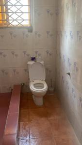 a bathroom with a toilet in a room at Charming 1-Bed Apartment in Accra in New Weija