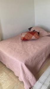 a pink bed with two pillows on top of it at Charming 1-Bed Apartment in Accra in New Weija