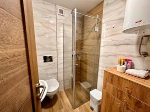 Koupelna v ubytování Zlatni apartman Borovi + 22 fotografií