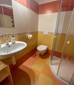 een badkamer met een wastafel en een toilet bij Penzion U Andresů in Zadov