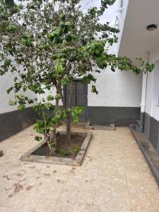 Fotografie z fotogalerie ubytování Casa Plaza 1 v destinaci Vega de Río de Palmas