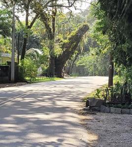 an empty road with trees on the side of the road at Casa Temporada in Rio de Janeiro