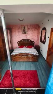a bedroom with a wooden bed with a red rug at Central City Park in Bacău