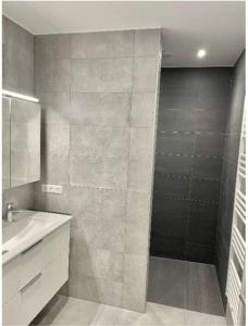 een badkamer met een douche en een wastafel bij One bedroom apartment in center w. Terrace&Parking in Luxemburg