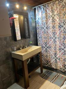 Un baño con lavabo y cortina de ducha. en Casa quinta La Panambí, en Campana 7 fotos más