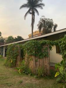 a house with a palm tree in the background at Gaia Eco Hub BnB in Fort Portal