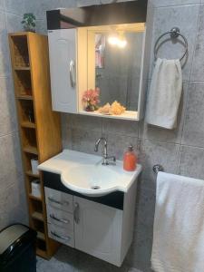 a bathroom with a sink and a mirror at Casa bem localizada e espaçosa no Butantã in São Paulo