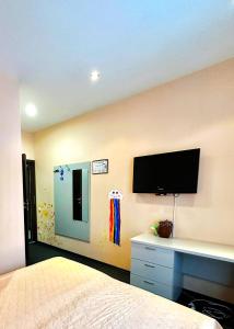 TV a/nebo společenská místnost v ubytování Kizhi ART Hotel Kharkiv
