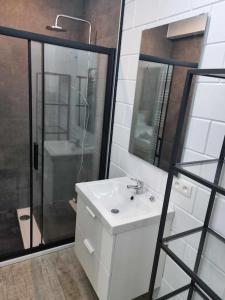 uma casa de banho com um lavatório e uma cabina de duche em vidro. em Le P'tit Padré em Jalhay