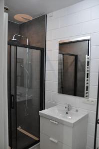 uma casa de banho com um chuveiro, um lavatório e um espelho. em Le P'tit Padré em Jalhay