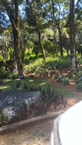 un jardín con árboles y plantas al lado de una carretera en Sítio Vila de Santa Barbara, en Caeté