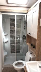 a bathroom with a shower and a toilet and a sink at Binka - Luxury 40 x 14ft Lodge in Tain