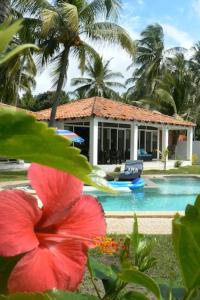 a house with a swimming pool and a red flower at Vistabella Beach House - Pool, Beach - 12ppl in El Porvenir