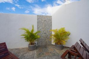 two palm trees in metal planters on a patio at Golden Square Villa & Private Pool in Flic-en-Flac