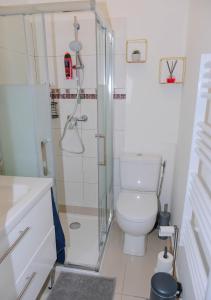 ein Bad mit einer Dusche und einem WC in der Unterkunft Cosy Casa entre Paris et Disney in Neuilly-Plaisance