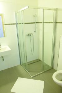 a shower stall in a bathroom with a toilet at Budget Apartment in Prague