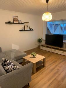 sala de estar con sofá, TV y mesa en Ferienwohnung Wanderlust, en Bad Rothenfelde