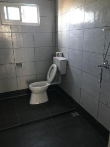 een badkamer met een toilet in een betegelde muur bij Kapowlito Real Estate Casa Cocobiacoweg in Paramaribo