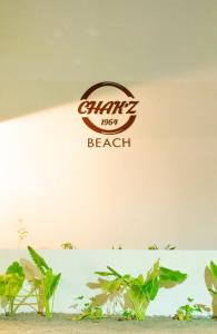 Certificato, attestato, insegna o altro documento esposto da Chak’z 1964 Beach