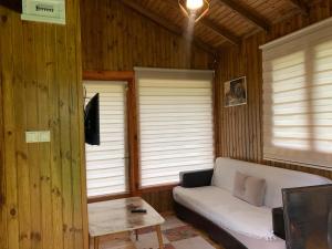 a living room with a couch and two windows at Saklı Cennet Esadiye in Esadiye