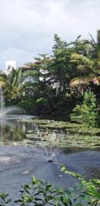 a view of a pond with trees and a fountain at July Vladimir in San Felipe de Puerto Plata