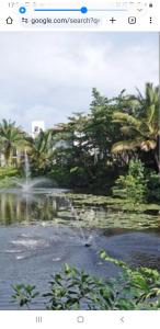 une photo d'un étang avec des arbres et de l'eau dans l'établissement July Vladimir, à San Felipe de Puerto Plata