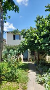 a view of a house from the garden at Campanita amarilla in Salta