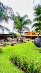 a green yard with palm trees and a building at Hermosa Casa 20p/6Hab/Pool/Jacuzzi Tequisquiapan in La Laja