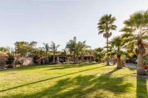 a field of grass with palm trees and houses at Hermosa Casa 20p/6Hab/Pool/Jacuzzi Tequisquiapan in La Laja
