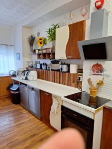 a kitchen with wooden cabinets and a counter top at Vila Gabriel in Nová Lesná