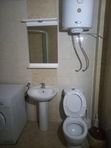 a small bathroom with a toilet and a sink at Apartment Grazdani in Ohrid