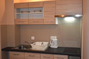 a kitchen with a sink and a counter top at Korina's Apartments in Ipsos