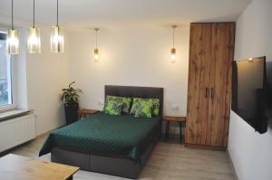 1 dormitorio con 1 cama con sábanas verdes y TV en Apartament Aleksandra, en Tolkmicko